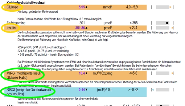 Beispiel EMS Profil - gelb Basalwerte, grün Proxys.jpg